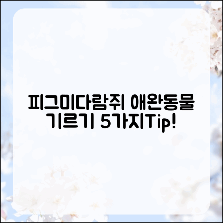 피그미다람쥐 애완동물 기르는 법 5가지