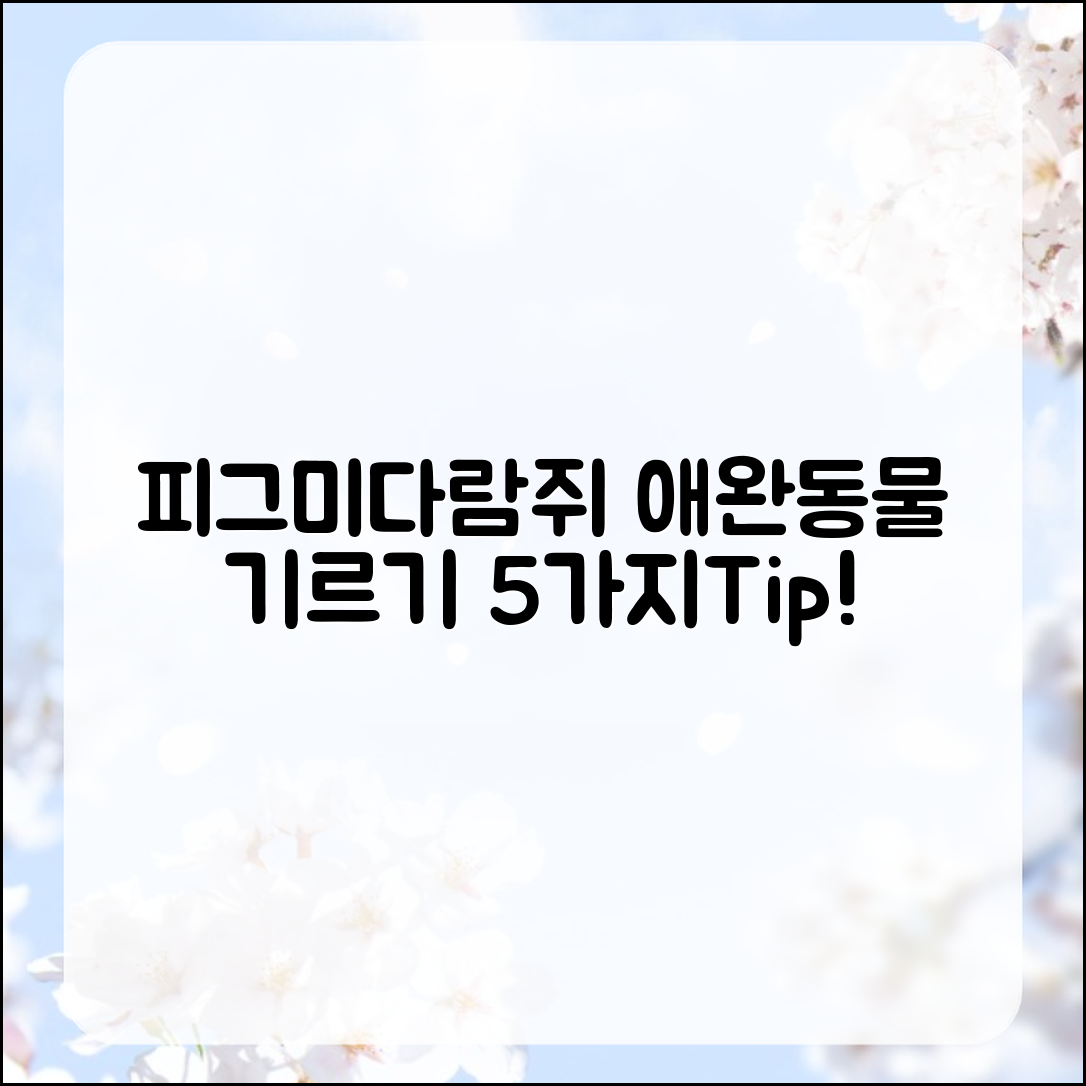 피그미다람쥐 애완동물 기르는 법 5가지