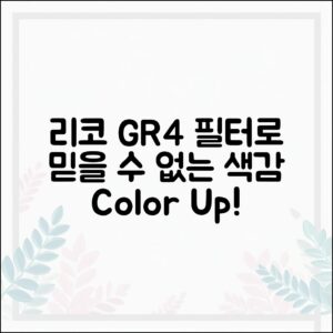 믿을 수 없는 리코 GR4 필터로 색감 살리기