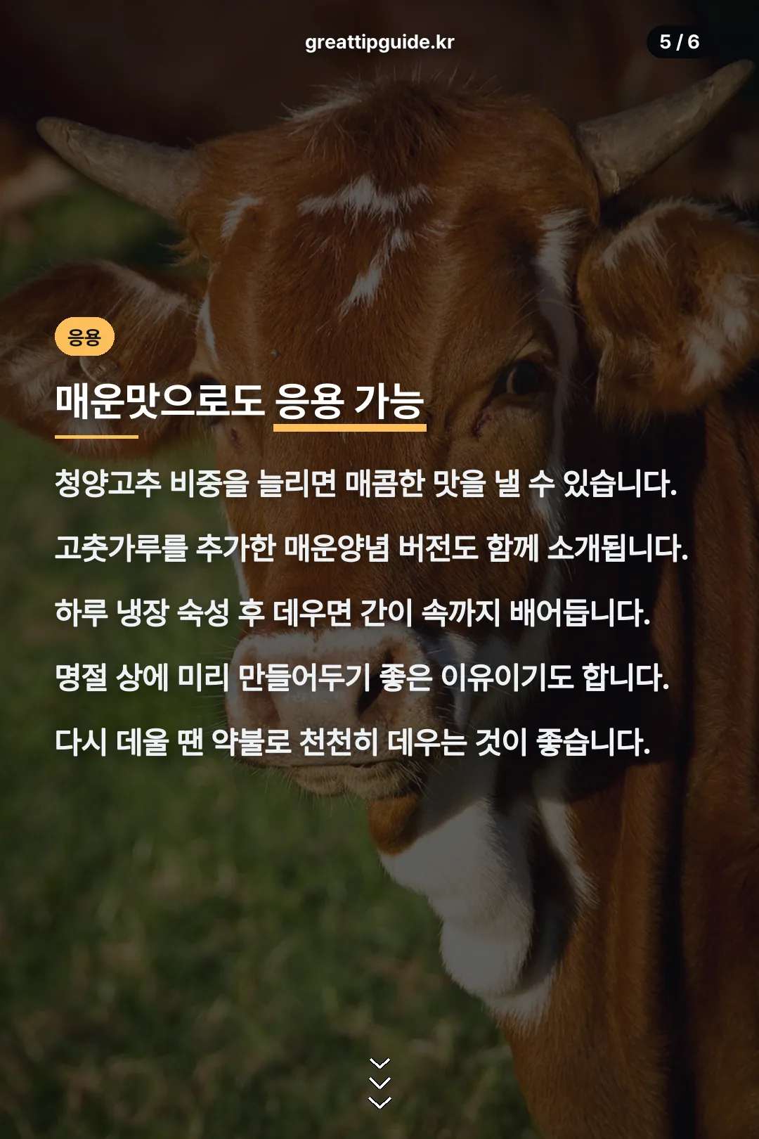 매운맛 응용법