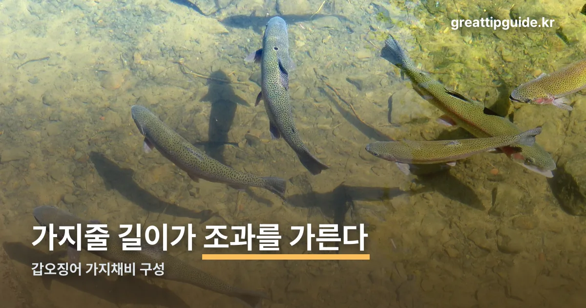 갑오징어 가지채비 정리 썸네일