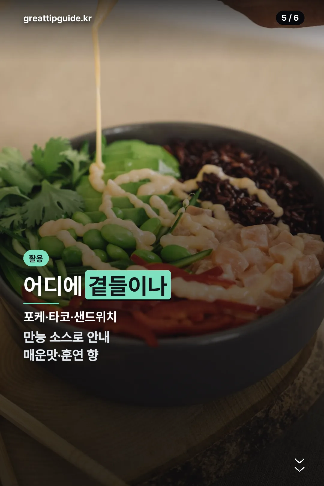 활용법 안내