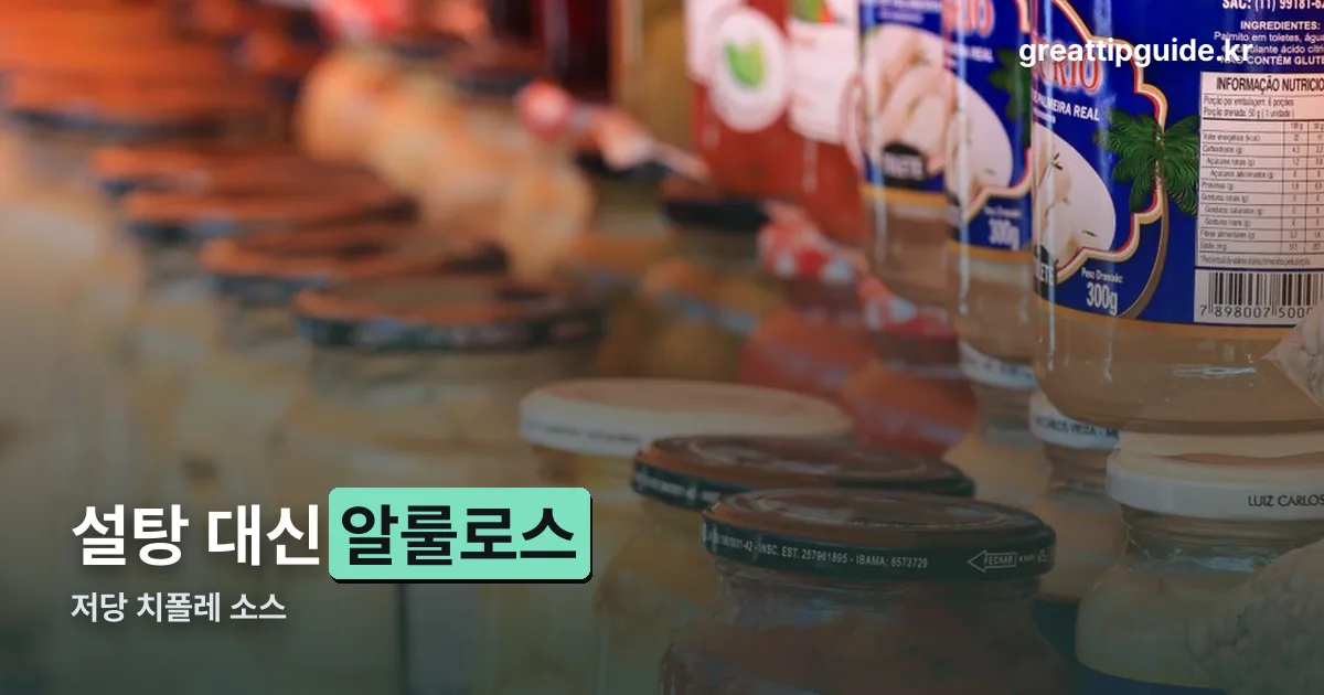 저당 치폴레 소스 정리 썸네일