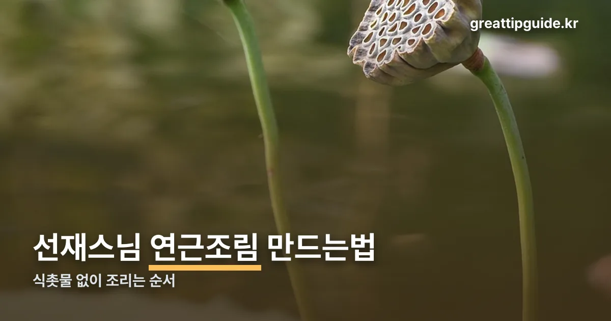 선재스님 연근조림 만드는 법 정리 썸네일