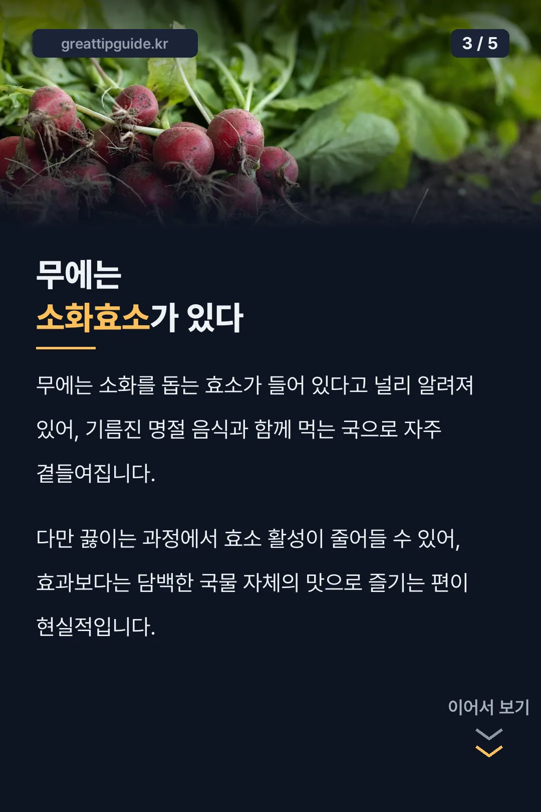 무의 소화효소 상식