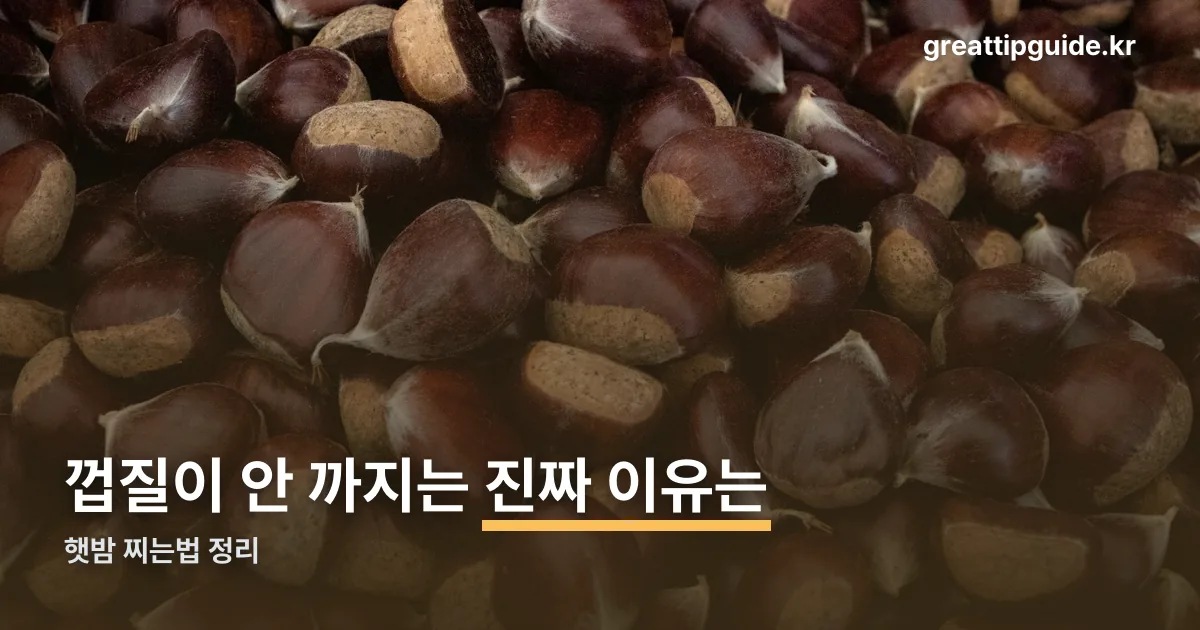 햇밤 찌는법 정리 썸네일