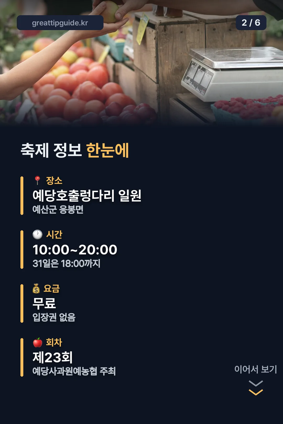축제 정보 한눈에